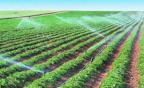 樱花福利农田高 效节水灌溉